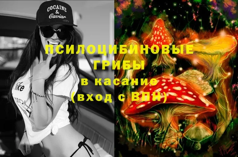 Псилоцибиновые грибы Magic Shrooms  хочу   Задонск 